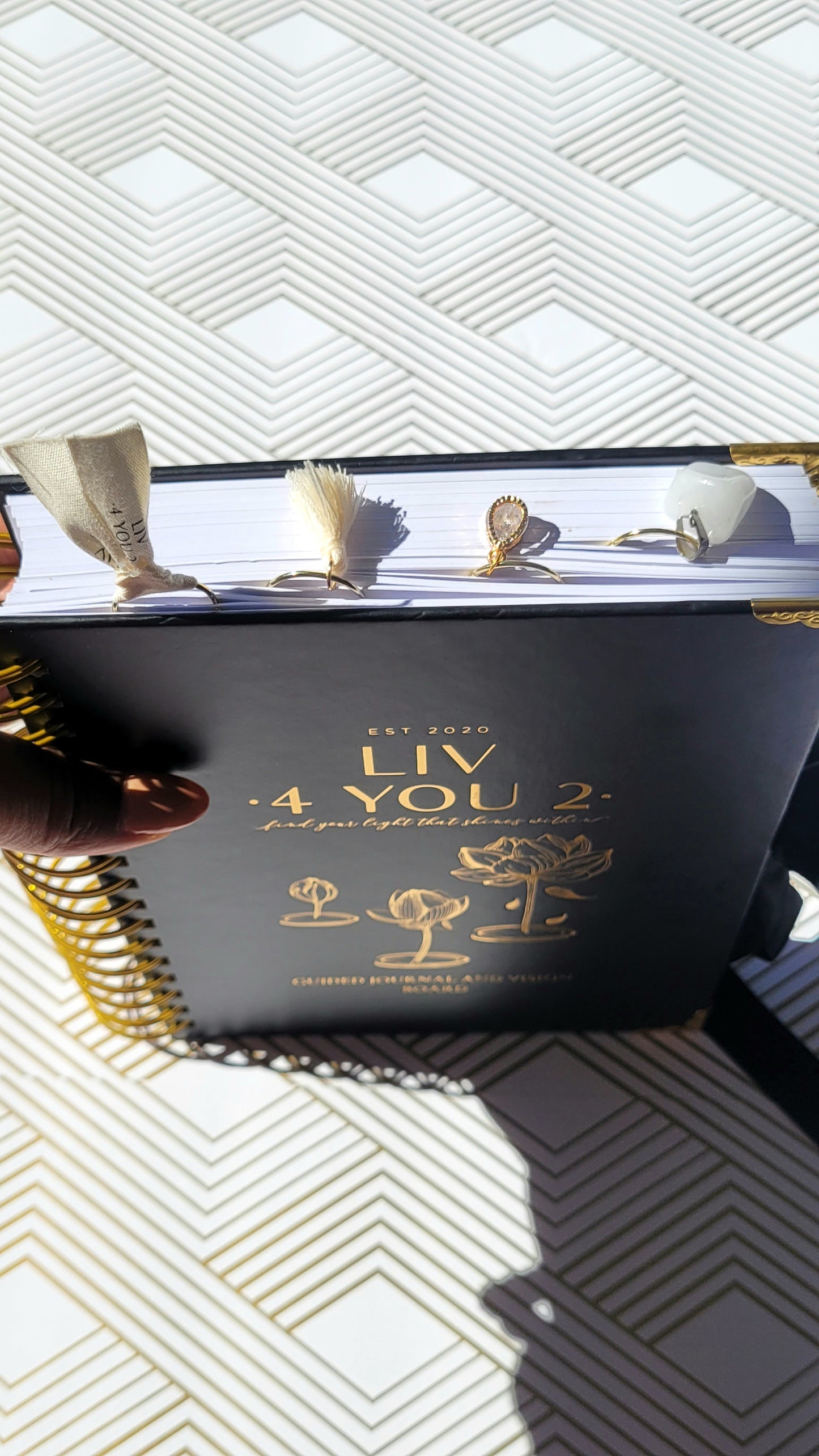 Liv 4 You 2: Jumbo decorative paperclips in gold color in black journal